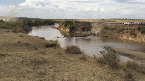 Wildebeest migration across the Mara River
